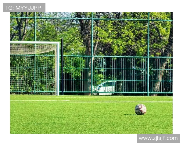 玩得花的足球明星们如何在绿茵场上展现个人魅力与风采